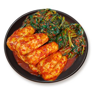 아삭아삭 전라도 총각김치 알타리무 김치 100% 국산 천연재료 진한 감칠맛, 3kg, 1개