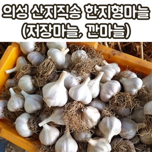 산지직송 의성마늘 한지형마늘 저장마늘 육쪽마늘 3kg 하 중 상 특 왕특, 3kg_특, 1박스