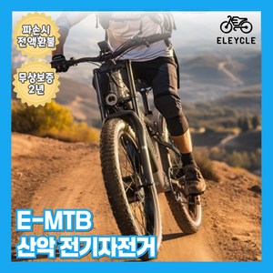 일레이클 고출력 1000W 전기자전거 MTB 전동 출퇴근 산악 배달 PAS 고급형, e-MTB 실버, 알루미늄