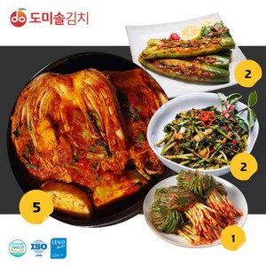 [도미솔김치] 도미솔 김치 4종 총10kg(포기김치 5kg+오이통김치2kg+열무김치2kg+파김치 1kg), 10kg, 1세트