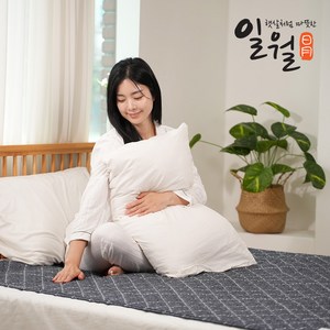 [25년형] 일월 전기매트 피치블로썸 전기요 카본 탄소 전기매트 전기장판 싱글(90X180cm), 단품, 단품