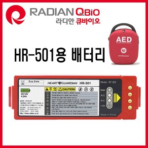 BT-303R 정품 (라디안 HR-501용 배터리), 1개