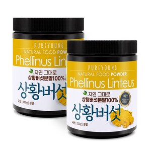 퓨어영 국산 상황버섯 분말 가루 110g, 2개