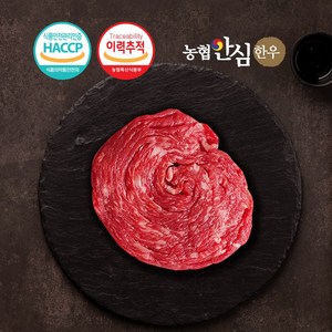 농협안심한우 한우 불고기/국거리/사태 500gx2, 1개, 불고기500gx2