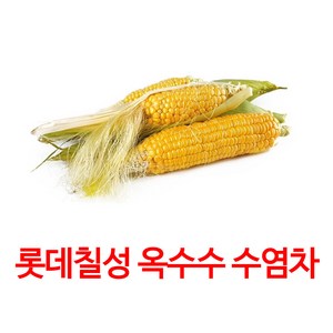 가벼운 매력 옥수수 수염차, 500ml, 48개