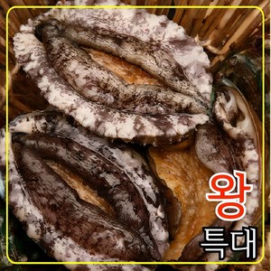 완도전복 왕특대 직거래 산지직송 산소포장 선물 세트, 1kg (왕특대 8-9미), 1박스