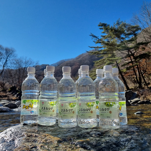 지리산 고로쇠 수액 500ml 10병, 10개