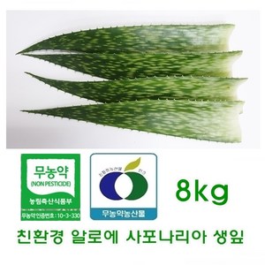 친환경 알로에사포나리아 생잎 8kg, 1개