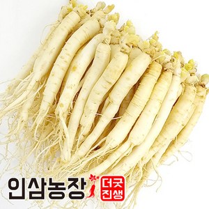 인삼 수삼 금산인삼 세척 원수삼 더굿진생, 1개, 세척인삼450g(18~24뿌리)