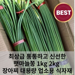 최상급 통통하고 알싸한 신선한 마늘쫑 햇마늘쫑 1kg 2kg 장아찌 대용량 업소용 식자재, 1개