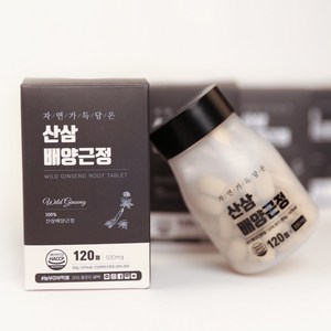 산삼 배양근정 환 500mg X 120정, 60g, 2개