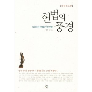 헌법의 풍경:잃어버린 헌법을 위한 변론, 교양인, <김두식> 저