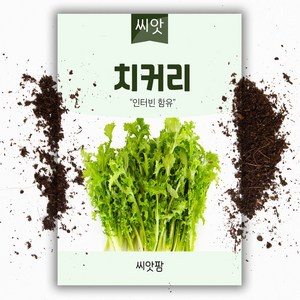 치커리씨앗 (1500립) 쌈채소씨앗, 1개