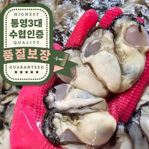 오라밀수산 통영 깐 생 굴 당일조업 산지직송, 1개, 1kg