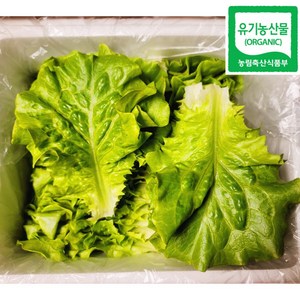 100% 유기농 친환경 생채 600g, 1개