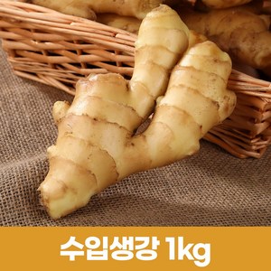 2025햇 수입생강 세척생강 대강 신선생강 최상품 1kg, 1개