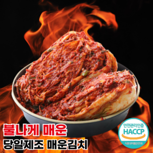 [행운김치] 당일제조 전라도 맛있게 매운김치 불김치, 1개, 2kg