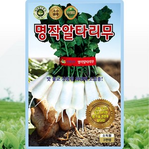 천하흑일품가지 2000립 가지 씨앗 종자 모종 텃밭 주말농장 KS종묘 그린종묘사, 1개