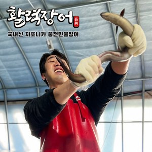 밀키트여행 활력수산 풍천 민물장어 2kg 생강채 절임깻잎 포함 세트 당일손질(순살1200g), 1개