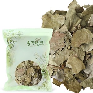 동의한재 국산 꾸지뽕 잎, 300g, 1개