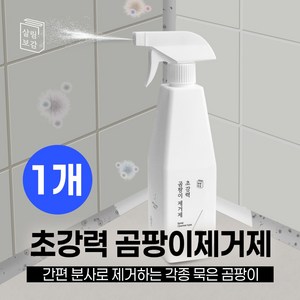 살림보감 초강력 곰팡이 제거제 벽지곰팡이제거 베란다 벽 곰팡이제거 화장실 욕실 창틀 곰팡이 청소세제 결로방지, 1개, 550ml