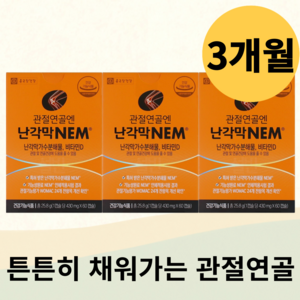 관절 연골 집중관리 영양제 종근당건강 난각막 NEM 500mg 1일 2캡슐 비타민D 인체적용시험 식물성캡슐, 3박스, 30회분