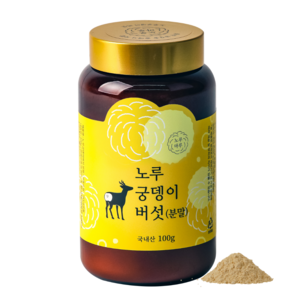 국산 무농약 노루궁뎅이버섯 분말 가루 100g, 1개