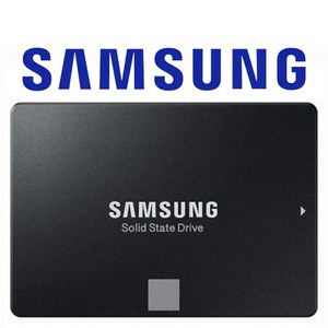 SSD 250G 삼성 EVO 860 SATA 2.5인치 노트북 내장하드, EVO860, 250GB