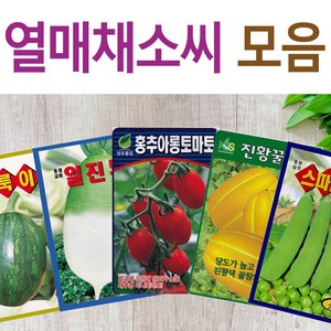 살아있는 씨앗 모음 열매씨앗 여주 우엉 박 토마토 참외 수박 오이 호박 가지 옥수수 깨 콩 팥 수수 밀 배추 양배추 열무 알타리 당근 무 비트 콜라비 고추 파프리카 종자, M-언제나열무, 1개