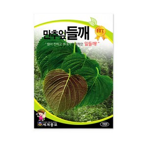 솔림텃밭몰 만추잎들깨씨앗 2000립 잎들깨 들깨씨앗 쌈채소 깨씨, 1개