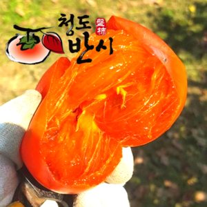 21brix 꿀당도 씨없는 청도반시 홍시 연시, 1개, 2.5kg(소과)