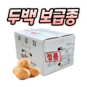 농사친구 강원도 두백 씨감자 4kg 10kg 20kg, 1개