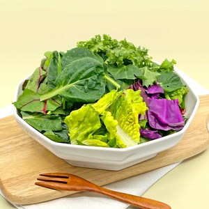 신금 유러피안 샐러드 200g 로메인 적근대 라디치오 청경채 비타민 간편 신선야채 브런치 샌드위치 홈파티 캠핑, 1개