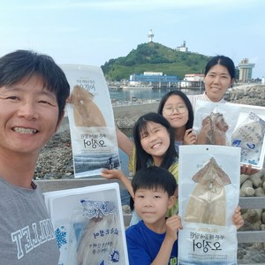 [서민갑부 오징어] 천해수산 건 마른오징어 10마리 부드러운 건조오징어 덕장 직배송, 특대 10미(850g내외), 1개