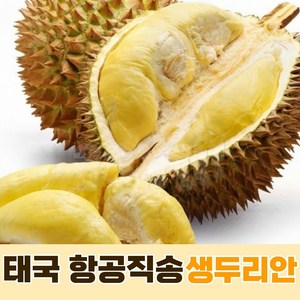 [태국항공직송] 재구매율 생두리안 duian 2~2.5kg 1개