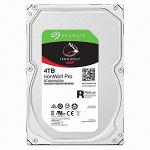 씨게이트 아이언울프 프로 3.5 NAS용 HDD, ST4000NE001, 4TB