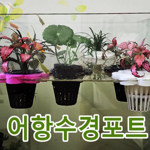 아쿠화 new 꽃부상포트 수경재배 아쿠아포닉스 부상성 수경포트(소)3p 수경캡 / 리파리움 쉬운 어항수경재배 인테리어 수질정화, A식물set(1p)