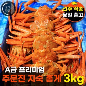 [수율꽉찬 주문진 제철홍게] 자숙 연지홍게 프리미엄 A급 우선선별 산지직송 3kg (9미~11미), 1개