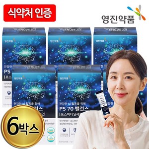 [물가안정! 출시 특가] 2025년 영진약품 PS70 밸런스 포스파티딜세린 분말 스틱 두뇌 인지력 식약청인증, 6박스, 30g