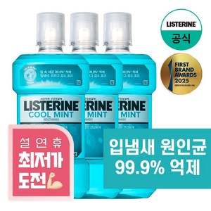 리스테린 쿨민트 구강청결제, 1L, 3개