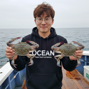 삼시세끼연구소 오직 연평도 2025년 봄꽃게 활 암꽃게 알배기 생물 활 꽃게, 1세트, 1kg