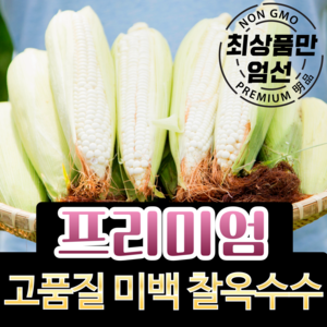 [강원도 산지직송] 생 옥수수 햇옥수수, 1박스, (특품) 옥수수 10개입