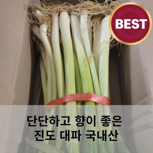 [국산] 국내산 진도대파 손질대파 깐대파 뿌리손질대파 단단하고 향이좋은 파, 1개, 5kg