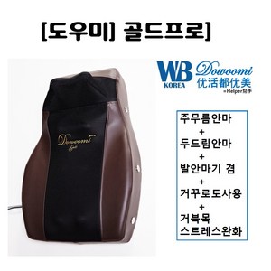 웰빙 도우미 안마기 골드프로 안마쿠션, WB-2200