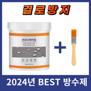 바르다케미칼 침투형 바르는 방수제 옥상 욕실 외벽 투명 발수, 1통, 300g