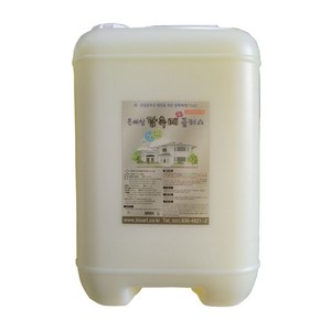 (올그린)은세상광촉매플러스20L 새.헌집증후군예방Tio2, 1개, 20L