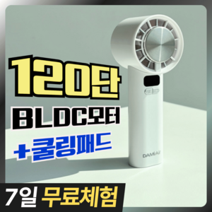 다미에어 쿨링 냉각 120단 BLDC 휴대용 손선풍기, DF-W0103