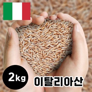 파로쌀 파로곡물 파로밀 이탈리아 파로밥 파로 엠머 밀, 2개, 1kg