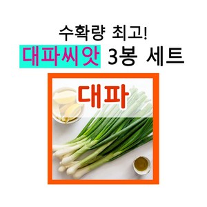 대파씨앗 8g 3개 세트 대파씨 5월 6월 파종 노지 직파, 1개