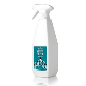 생활과생각 곰팡이 제거제 750ml 안전캡 적용 천연 살균 화장실 욕실 베란다, 1개